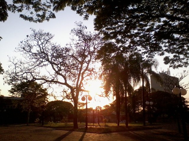 Árvores e Sol na praça da biblioteca, em Paranavaí-PR.