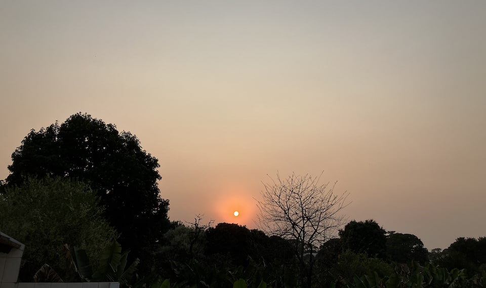 Sol alaranjado, céu cinzento e algumas árvores em primeiro plano.